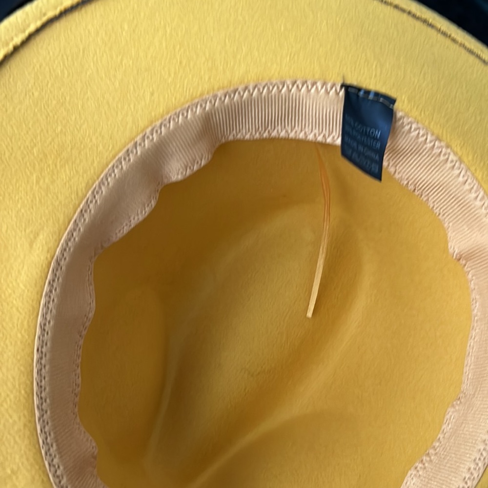 Brim - Picture 2 of 2